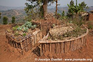 Le pays des milles collines - Rwanda