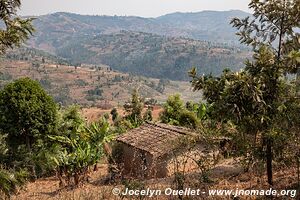 Le pays des milles collines - Rwanda