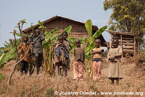 Le pays des milles collines - Rwanda