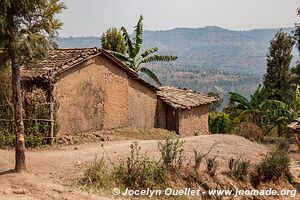 Le pays des milles collines - Rwanda