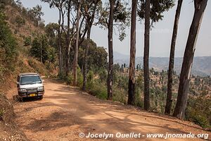 Land of a Thousand Hills - Rwanda