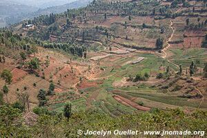 Le pays des milles collines - Rwanda