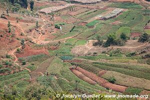 Le pays des milles collines - Rwanda