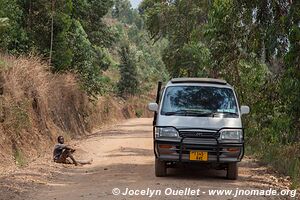 Le pays des milles collines - Rwanda