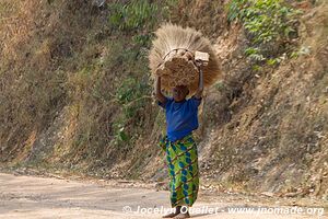 Land of a Thousand Hills - Rwanda