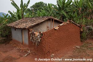 Le pays des milles collines - Rwanda