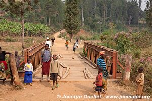 Le pays des milles collines - Rwanda