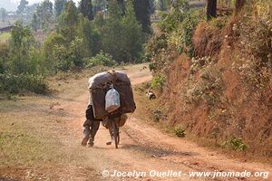 Land of a Thousand Hills - Rwanda