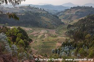 Land of a Thousand Hills - Rwanda