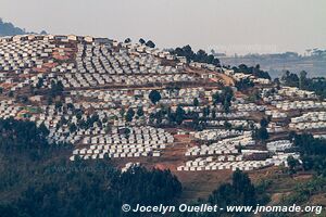 Land of a Thousand Hills - Rwanda