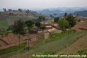 Le pays des milles collines - Rwanda