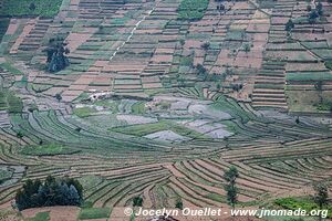 Le pays des milles collines - Rwanda