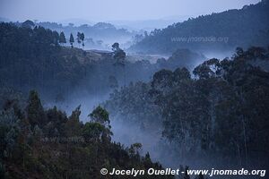 Parc national de Nyungwe - Rwanda