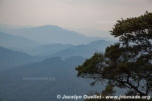 Nyungwe National Park - Rwanda