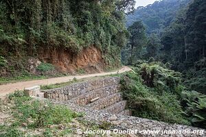 Parc national de Nyungwe - Rwanda
