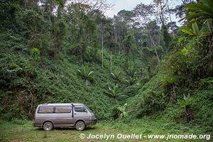 Parc national de Nyungwe - Rwanda