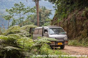 Parc national de Nyungwe - Rwanda