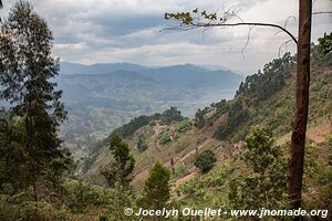 Nyungwe National Park - Rwanda