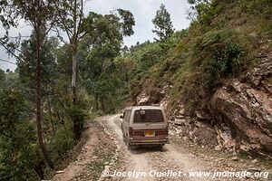 Nyungwe National Park - Rwanda