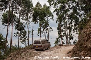 Parc national de Nyungwe - Rwanda