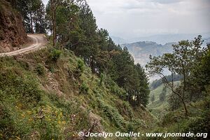 Le pays des milles collines - Rwanda