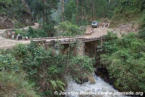 Le pays des milles collines - Rwanda