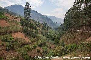 Le pays des milles collines - Rwanda