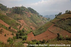 Land of a Thousand Hills - Rwanda