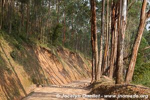 Le pays des milles collines - Rwanda