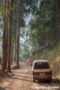 Land of a Thousand Hills - Rwanda