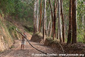 Le pays des milles collines - Rwanda