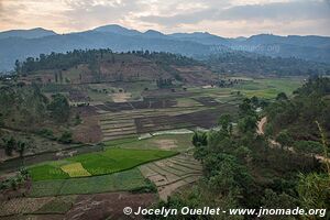 Land of a Thousand Hills - Rwanda