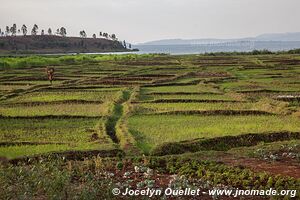 Lac Kivu - Rwanda