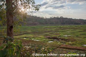 Lac Kivu - Rwanda