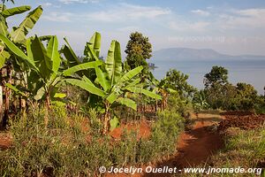 Lac Kivu - Rwanda