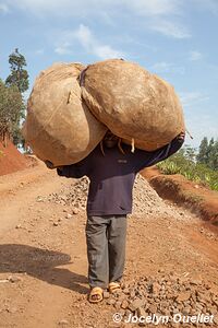 Lake Kivu - Rwanda