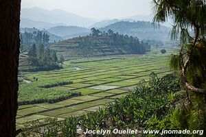 Lac Kivu - Rwanda