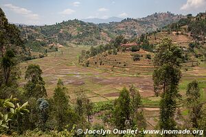 Lac Kivu - Rwanda