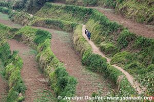 Le pays des milles collines - Rwanda