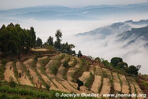 Land of a Thousand Hills - Rwanda