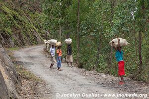 Le pays des milles collines - Rwanda