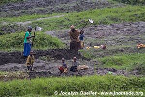 Le pays des milles collines - Rwanda