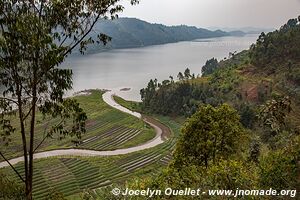 Land of a Thousand Hills - Rwanda