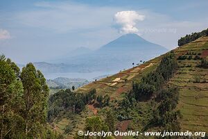 Le pays des milles collines - Rwanda