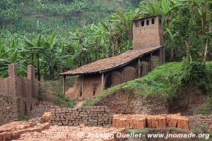 Le pays des milles collines - Rwanda