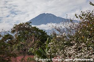 Arusha - Tanzania