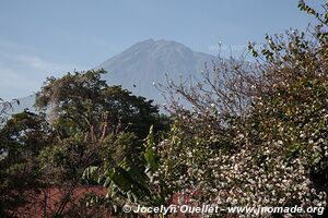 Arusha - Tanzanie