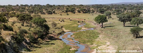 Parc national de Tarangire - Tanzanie