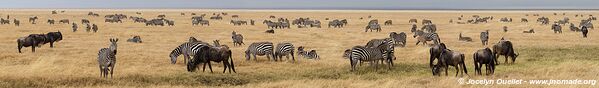 Aire de conservation du Ngorongoro - Tanzanie