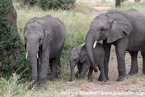 Tarangire National Park - Tanzania